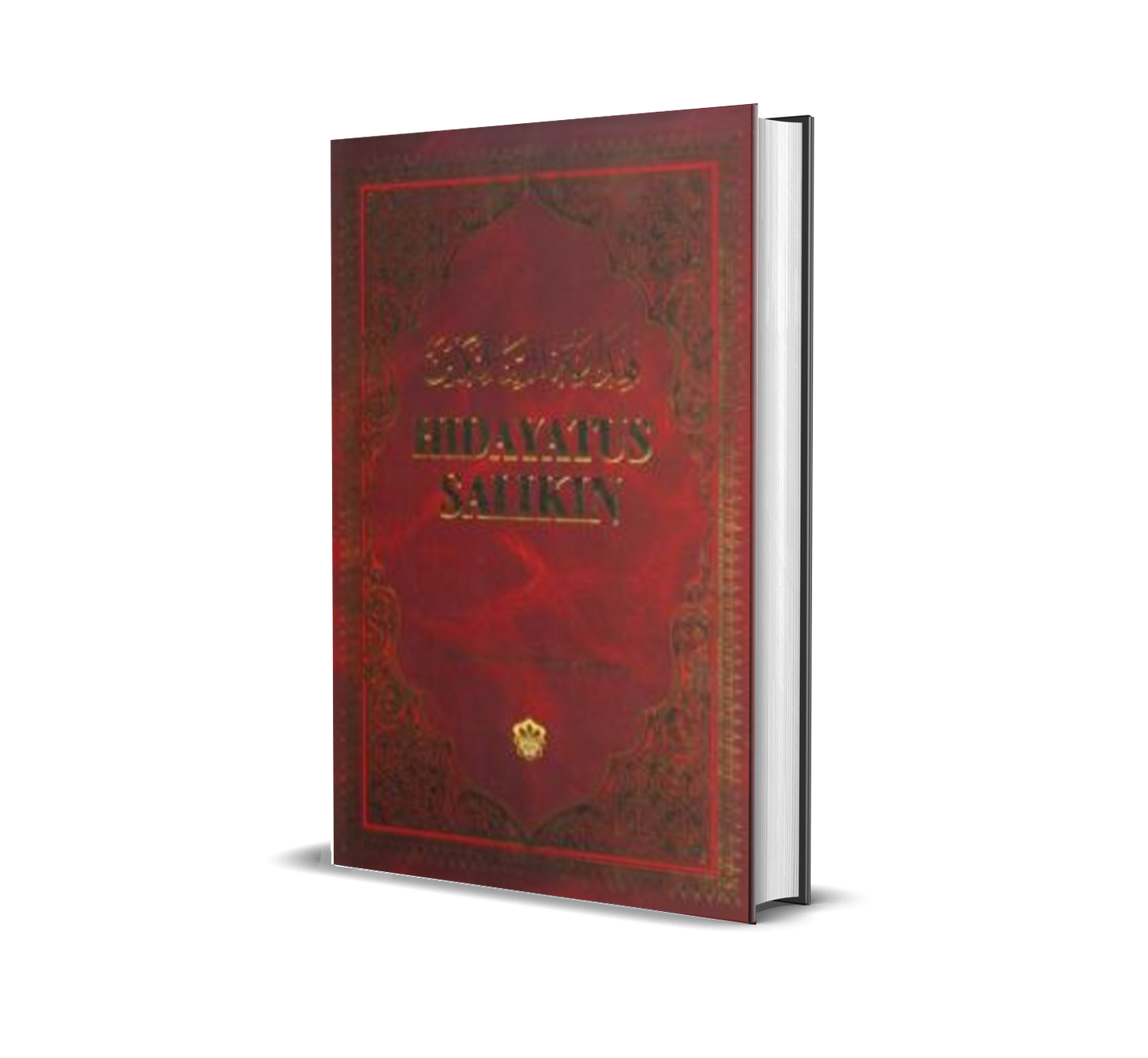 Hidayatus Salikin