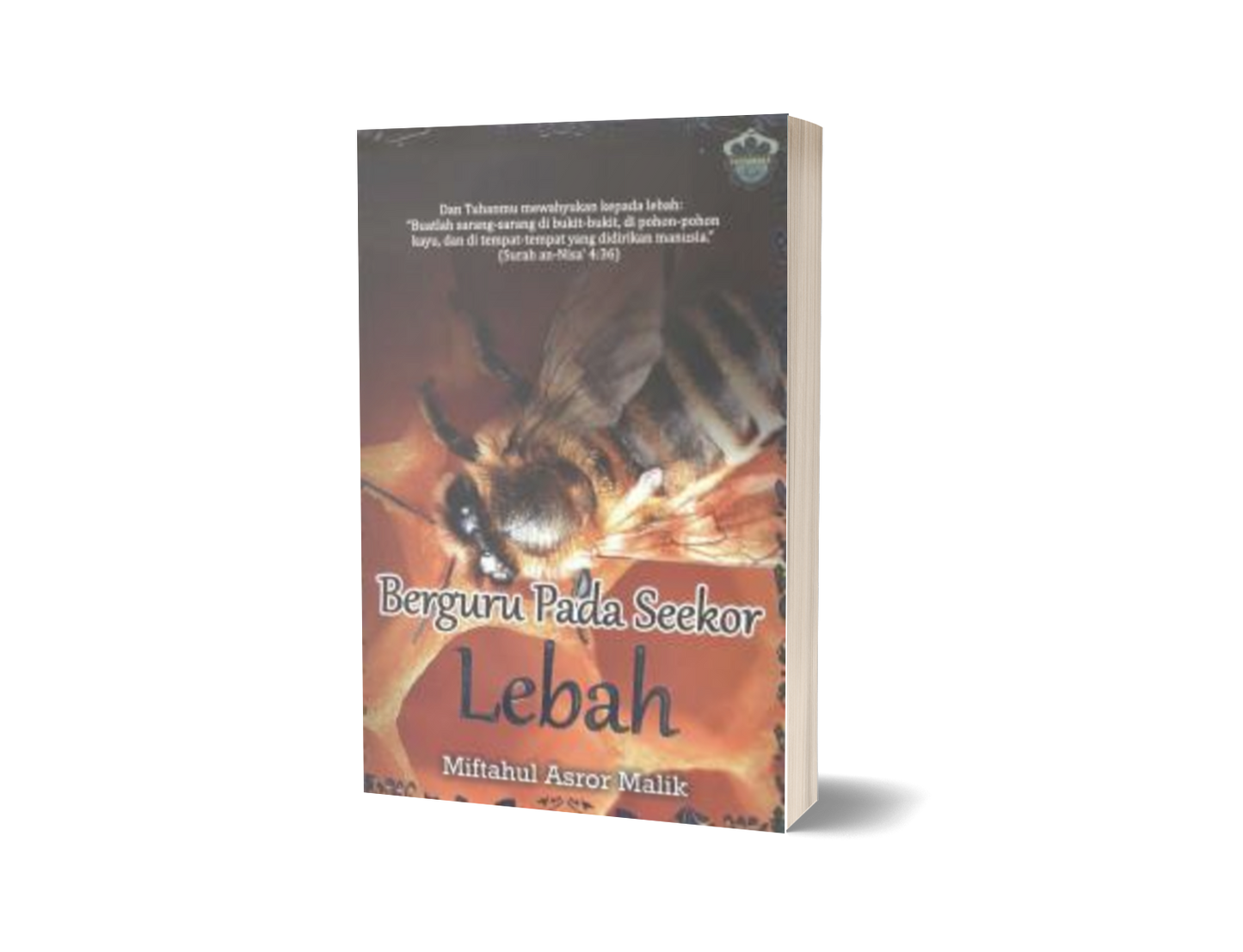 Berguru Pada Seekor Lebah