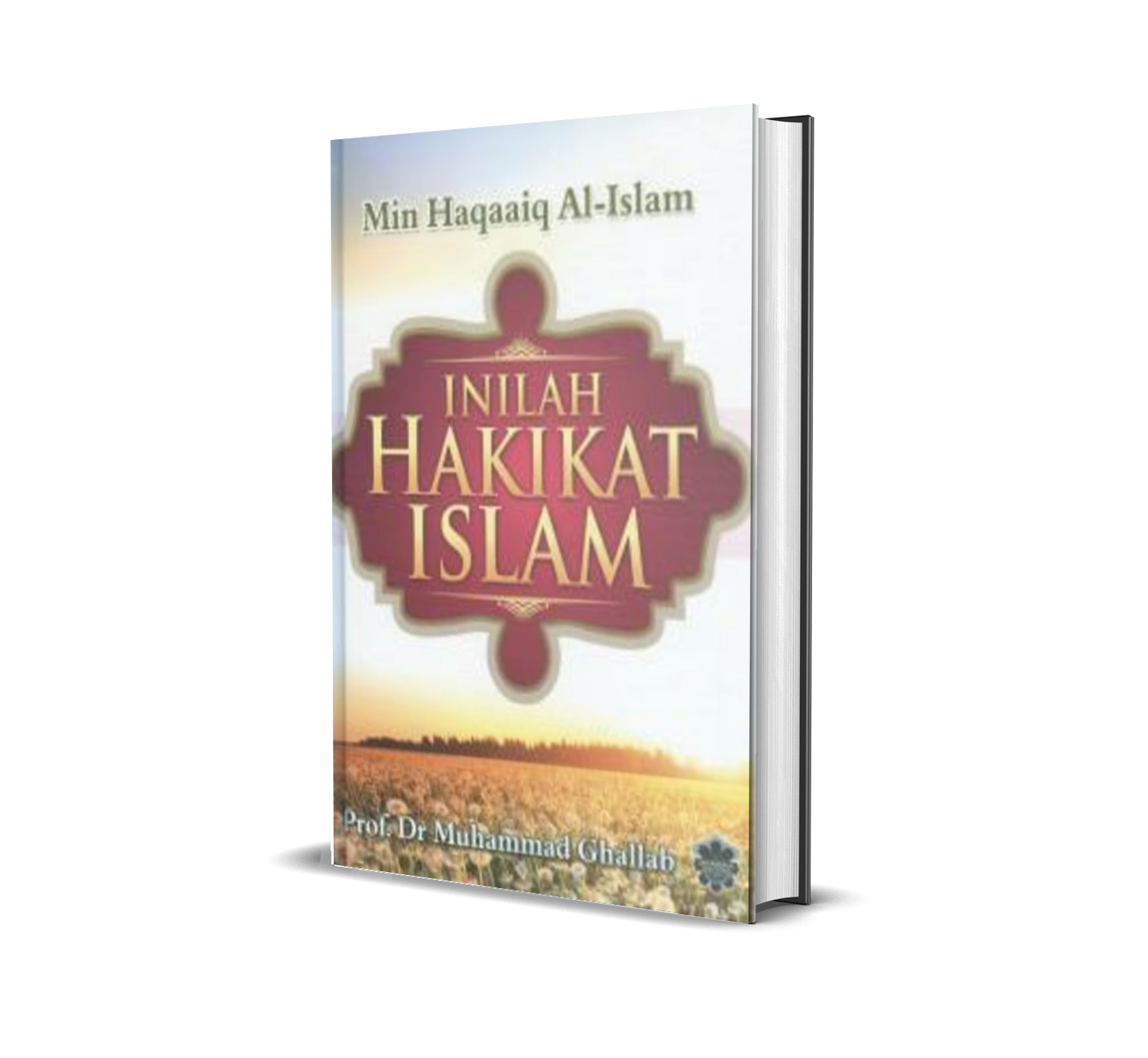 Inilah Hakikat Islam