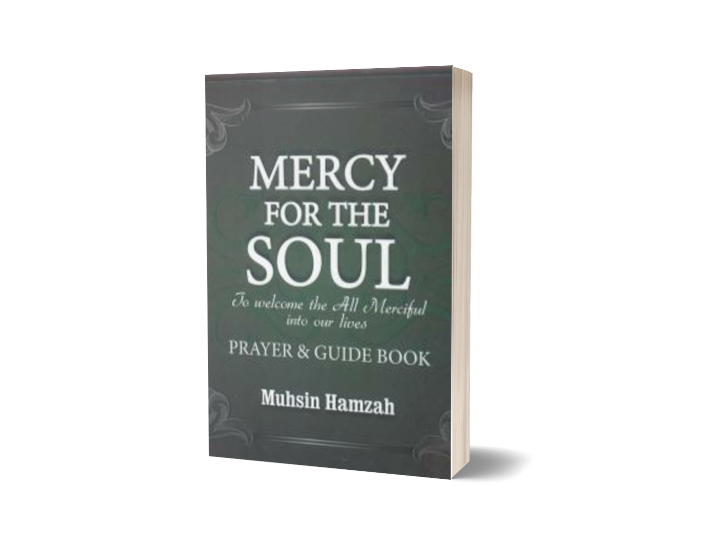 Mercy For The Soul : Prayer & Guide Book